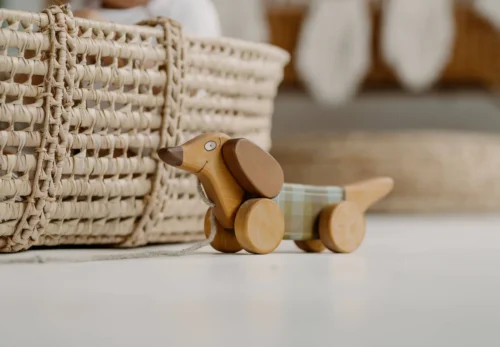 Sausage Dog Pull Toy